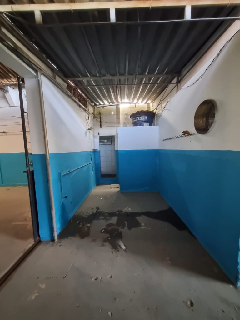 Av. Cesário de Melo, 811 galpão.